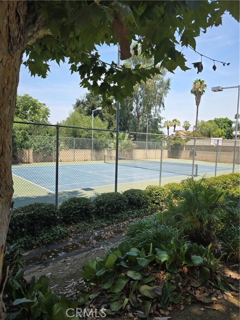 254 E Fern Avenue, Redlands CA: https://media.crmls.org/medias/7ce793a7-9b71-4382-9b88-0fb14546f8a4.jpg