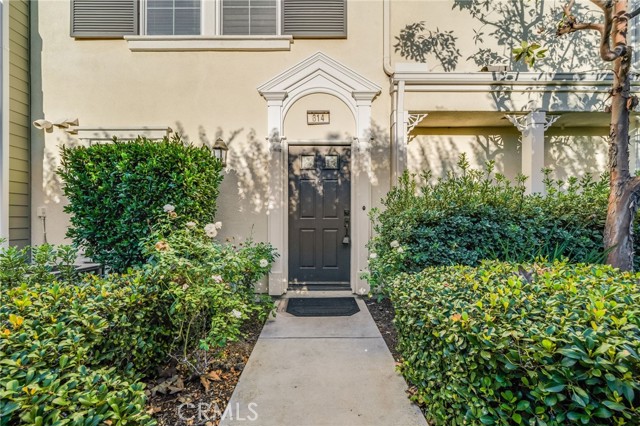 Front Image Thumbnail for CROC25277861