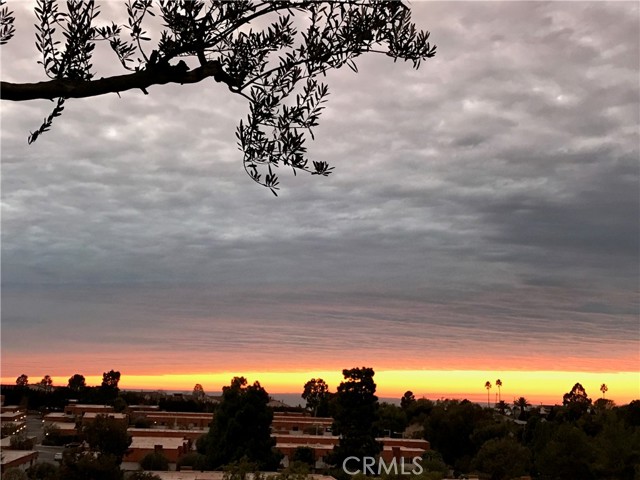 54 Hilltop Circle, Rancho Palos Verdes CA: https://media.crmls.org/medias/7ced4de6-71db-4339-8802-1f11a489afa9.jpg