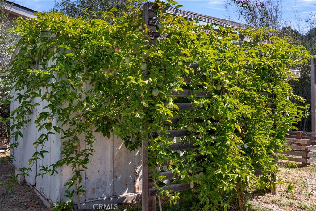 MLS #NS26212519 image #36