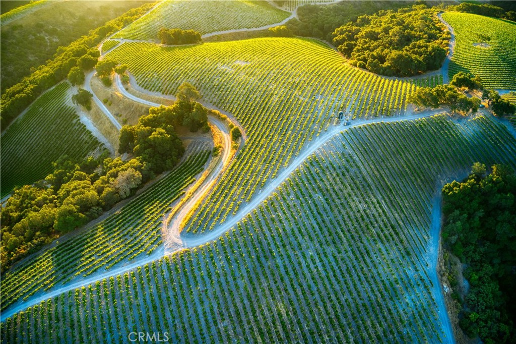 https://media.crmls.org/medias/7cf01b6c-58ae-4c35-954d-4e48f6ebd344.jpg?preset=X-Large