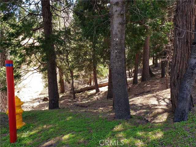 0 San Moritz Drive, Crestline, California 92325, ,Land,For Sale,0 San Moritz Drive,CRRW23155843