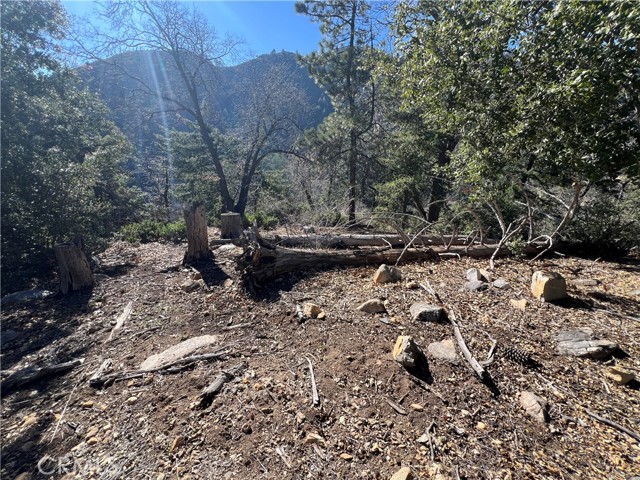 Detail Gallery Image 12 of 18 For 0 Ca-38, Angelus Oaks,  CA 92305 - – Beds | – Baths