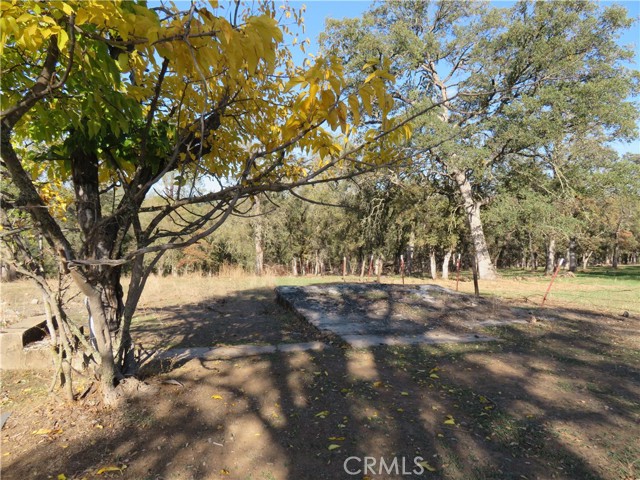 3465 Foothill Boulevard, Oroville, California 95966, ,Land,For Sale,3465 Foothill Boulevard,CROR23208825