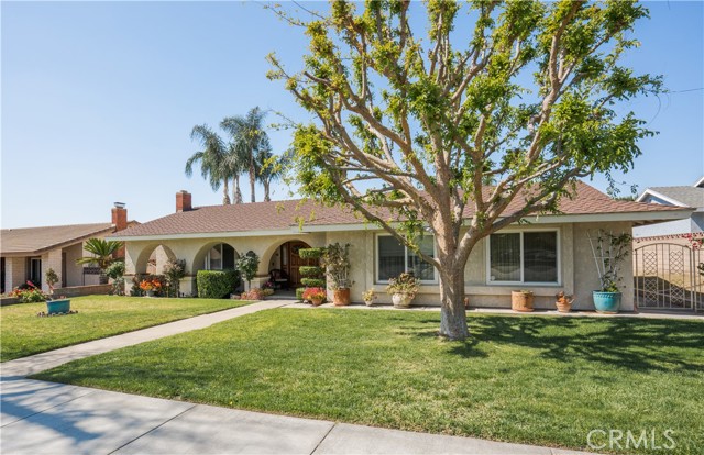 Image 3 for 1527 N San Antonio Ave, Upland, CA 91786