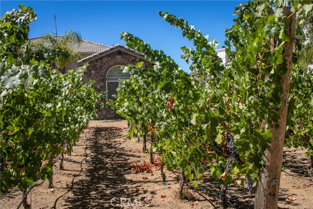 Detail Gallery Image 63 of 64 For 13010 Redwood Ln, Yucaipa,  CA 92399 - 4 Beds | 3 Baths