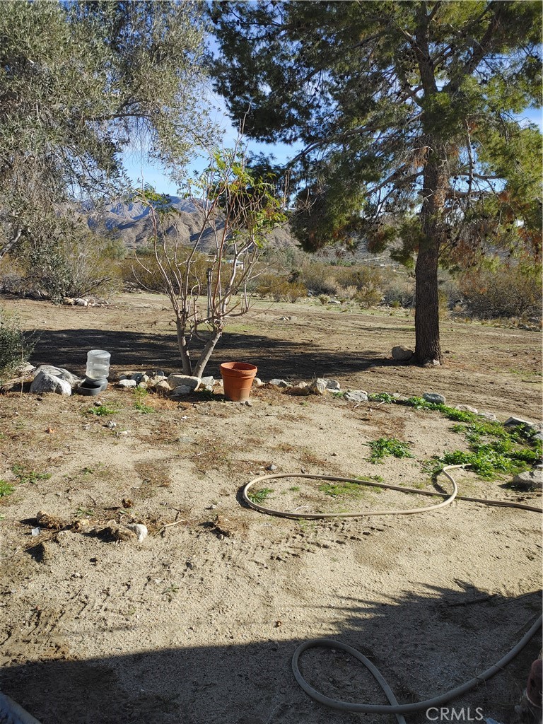 MLS #IV25266900 image #9