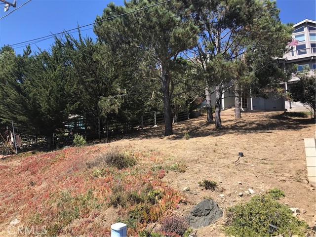 0 Canterbury Lane, Cambria, California 93428, ,Land,For Sale,0 Canterbury Lane,CRSC22191906