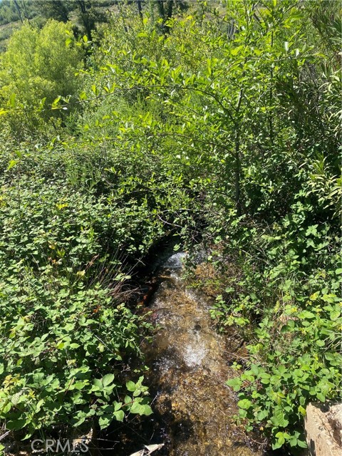 Front Image Thumbnail for CRSN26088551