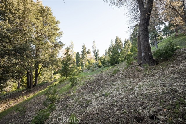 284 Hidden Forest, Lake Arrowhead, CA, 92352 284 Hidden Forest, Lake Arrowhead, CA, 92352