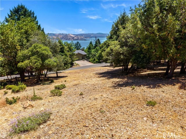 3592 Pine Terrace Drive, Kelseyville CA: https://media.crmls.org/medias/7d1e2fa2-dc5d-406e-80c8-0491fe8ab01d.jpg