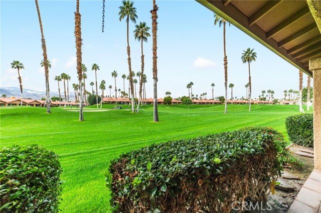 Detail Gallery Image 28 of 30 For 81 Camino Arroyo, Palm Desert,  CA 92260 - 3 Beds | 2 Baths