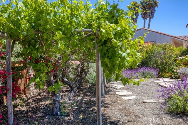 1220 Bassi Drive, San Luis Obispo CA: https://media.crmls.org/medias/7d2382be-5935-496c-bbf8-faac5b8f37b0.jpg