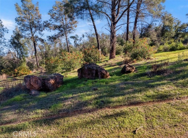 Detail Gallery Image 9 of 18 For 3522 Filmore Ave, Clearlake,  CA 95422 - – Beds | – Baths