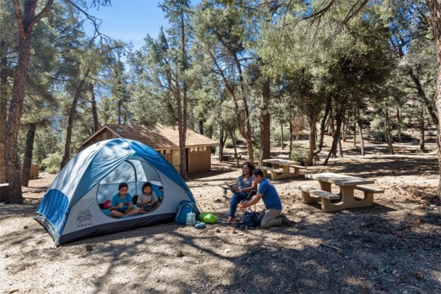 Detail Gallery Image 53 of 59 For 16200 Askin Dr, –,  CA 93222 - 4 Beds | 2/1 Baths