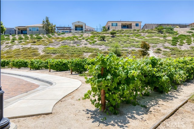 Detail Gallery Image 19 of 75 For 2725 Sierra Bella Dr, Corona,  CA 92882 - 5 Beds | 3 Baths