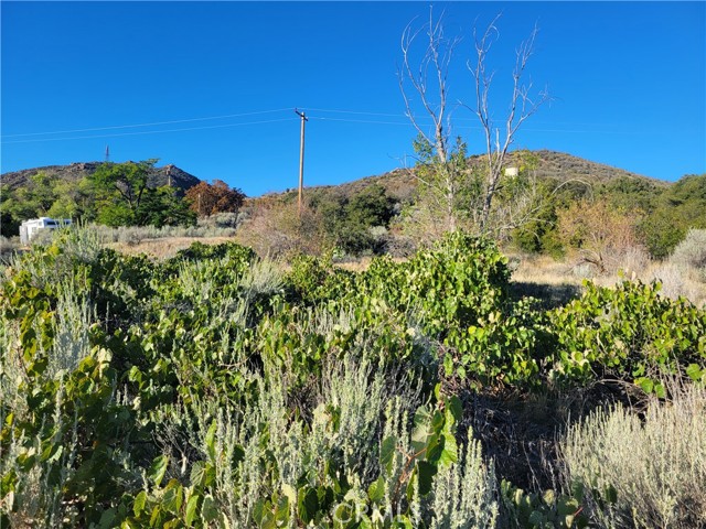 Detail Gallery Image 29 of 46 For 44451 Jay Dr, Anza,  CA 92539 - 3 Beds | 2 Baths