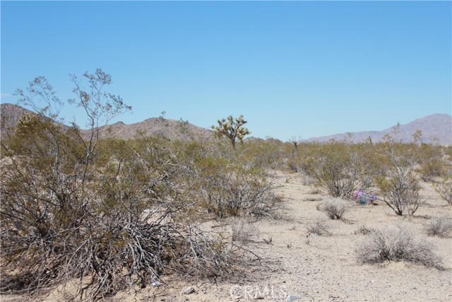 769 Meridian Road, Lucerne Valley CA: https://media.crmls.org/medias/7d43ef17-ed4b-49d5-8462-611cc3f199a0.jpg