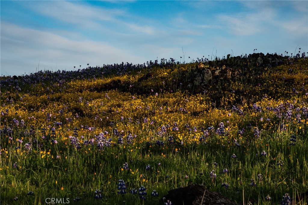 https://media.crmls.org/medias/7d4c1314-6339-49fb-a56c-58cc90f1a472.jpg?preset=X-Large