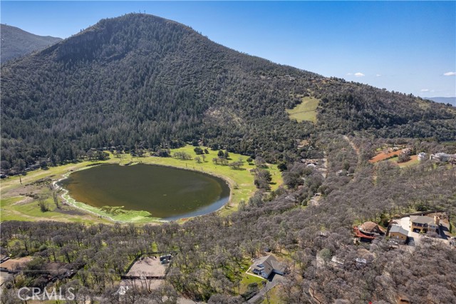 8250 Little Borax Lake Road, Kelseyville, California 95451, ,Land,For Sale,8250 Little Borax Lake Road,CRLC23183582