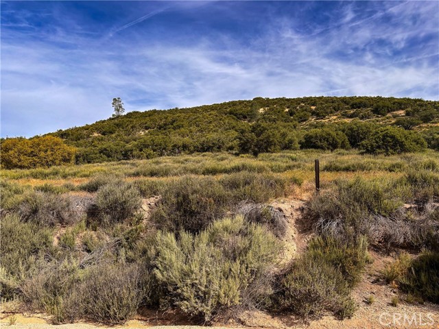 Detail Gallery Image 7 of 7 For 0 Lockwood San Ardo Road, Lockwood,  CA 93932 - – Beds | – Baths