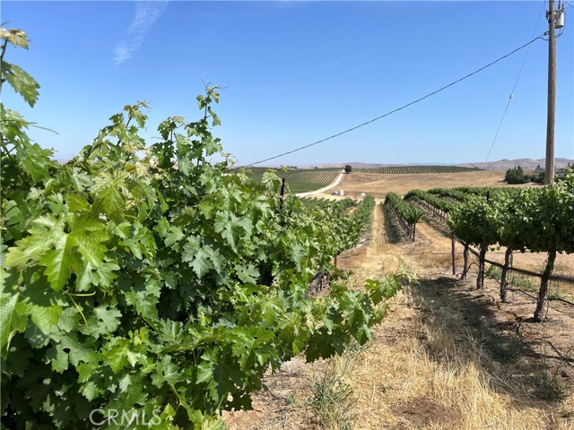 Detail Gallery Image 27 of 42 For 1375 Grana Pl, San Miguel,  CA 93451 - 4 Beds | 2 Baths