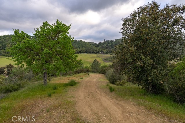 Detail Gallery Image 46 of 68 For 4550 Las Pilitas Rd, Santa Margarita,  CA 93453 - 3 Beds | 2 Baths