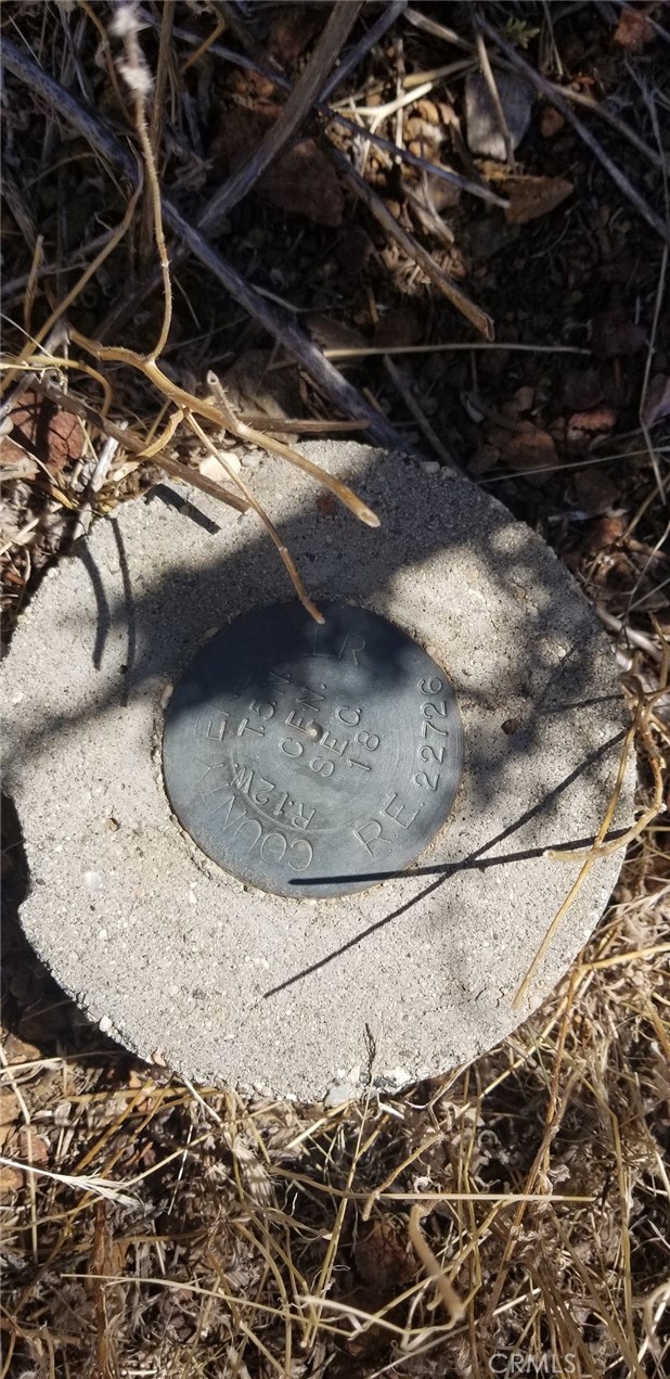 0 Rolandee Street, Acton CA: https://media.crmls.org/medias/7d660bf8-c64c-45f2-b845-418030342745.jpg