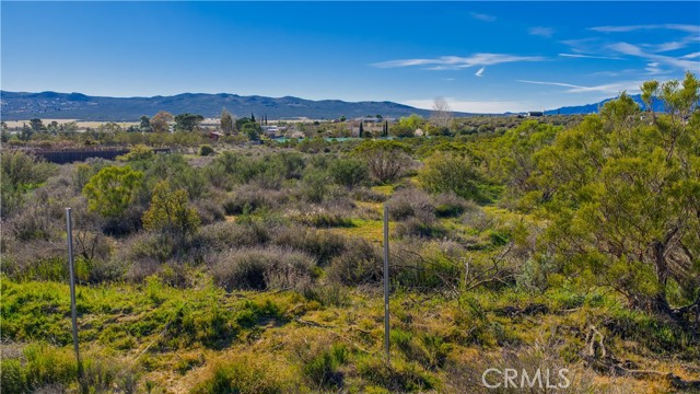 Detail Gallery Image 50 of 71 For 1 Apple Rd, Anza,  CA 92539 - – Beds | – Baths