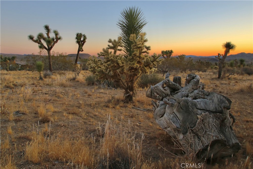 MLS #JT25001678 image #5