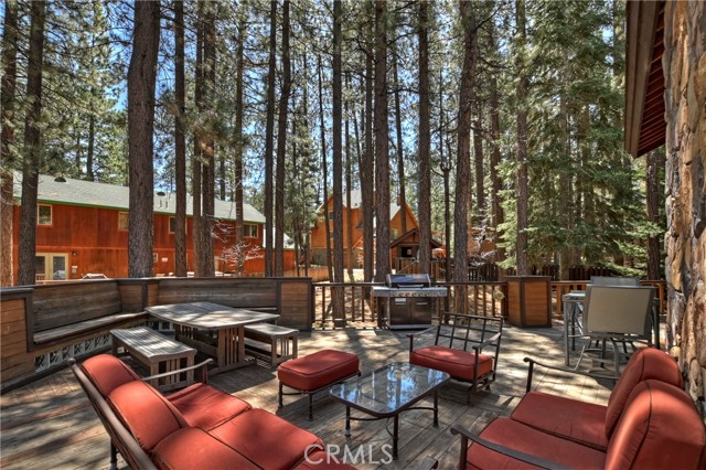 Detail Gallery Image 44 of 50 For 733 Winterset Ct, Big Bear Lake,  CA 92315 - 3 Beds | 2/1 Baths