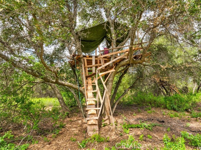 Detail Gallery Image 16 of 20 For 53899 Dogwood Dr, North Fork,  CA 93643 - – Beds | – Baths