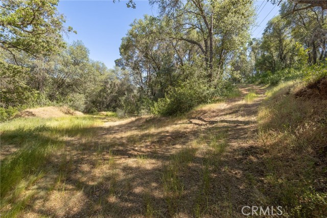 Detail Gallery Image 1 of 1 For 10 Ac Miller Rd / Old Hwy, Mariposa,  CA 95338 - – Beds | – Baths