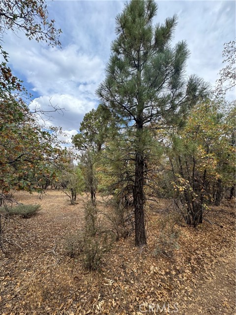 Detail Gallery Image 3 of 8 For 751 Needle Ln, Big Bear City,  CA 92314 - – Beds | – Baths