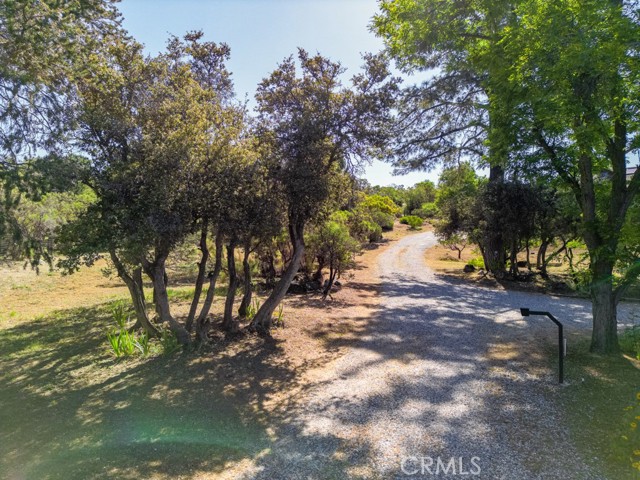 Detail Gallery Image 58 of 71 For 38180 Paradise Dr, Mountain Center,  CA 92561 - 3 Beds | 2/1 Baths