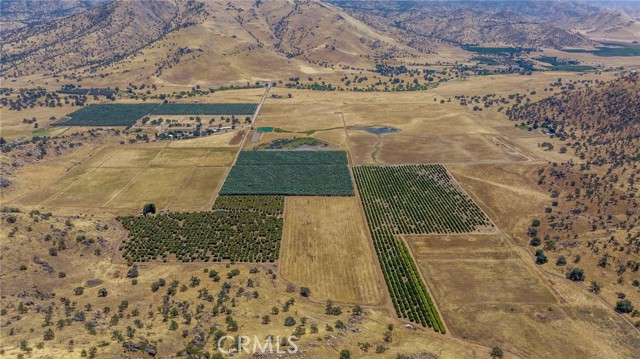 19400 398, Woodlake CA: https://media.crmls.org/medias/7d83418d-7b1e-4330-b3fd-b887519e8dc8.jpg