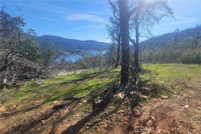 0 Condor, Oroville CA: https://media.crmls.org/medias/7d85ec6b-d7e1-4b8f-b6d1-daecaddbbd4f.jpg