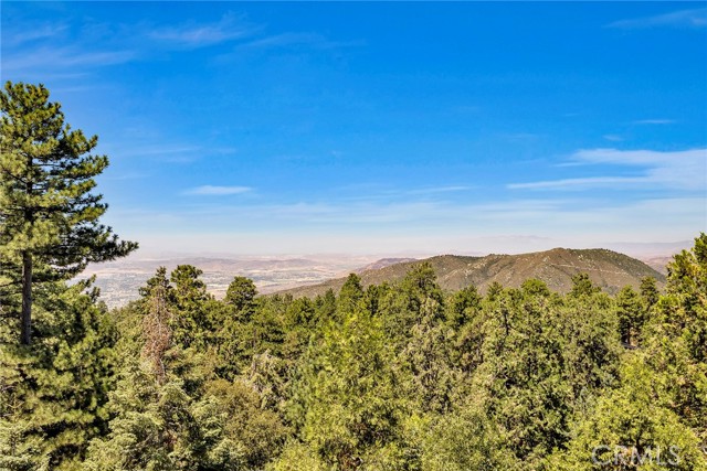 Detail Gallery Image 29 of 73 For 25271 Deer Path Rd, Idyllwild,  CA 92549 - 3 Beds | 3/1 Baths