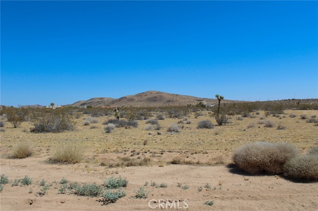 Detail Gallery Image 3 of 6 For 0 Duvall Dr, Joshua Tree,  CA 92252 - – Beds | – Baths