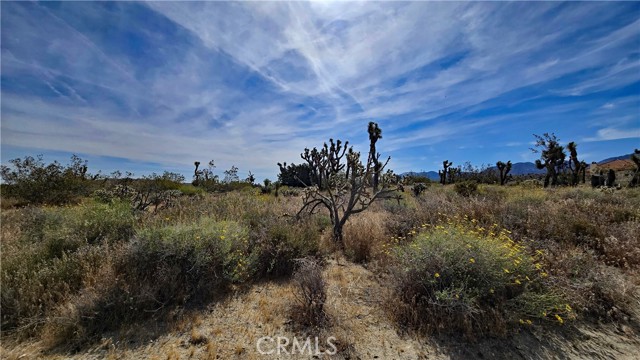 Detail Gallery Image 2 of 49 For 0 103rd St East Vicinity W14, –,  CA 93543 - – Beds | – Baths