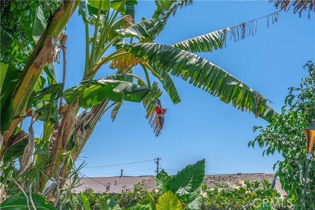 Detail Gallery Image 43 of 60 For 8922 Tracy Ave, Garden Grove,  CA 92841 - 3 Beds | 2 Baths
