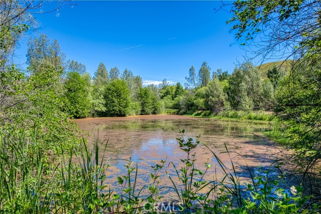 Detail Gallery Image 5 of 73 For 1540 New Long Valley Rd, Clearlake Oaks,  CA 95423 - 3 Beds | 2 Baths