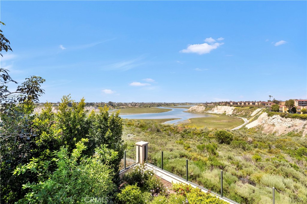 MLS #NP25183953 img 30