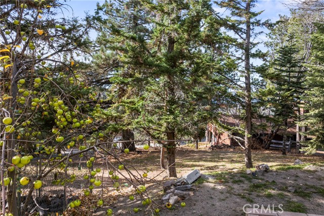 1944 Willow, Running Springs CA: https://media.crmls.org/medias/7d9d5729-4667-4e45-80f7-5b0b0bf645d4.jpg