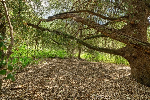 Detail Gallery Image 47 of 57 For 39804 Pine Bench, Yucaipa,  CA 92399 - 4 Beds | 3 Baths