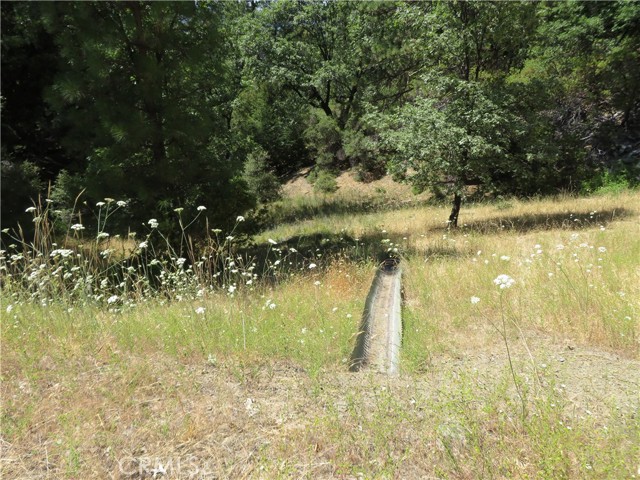 0 Barns Ranch Road, Covelo, California 95428, ,Land,For Sale,0 Barns Ranch Road,CRSN23031018