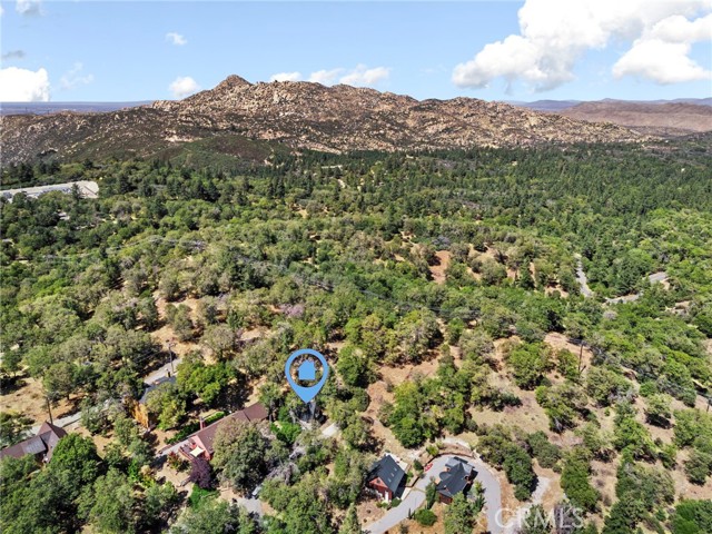1700 S Way, Lake Arrowhead, CA 92352