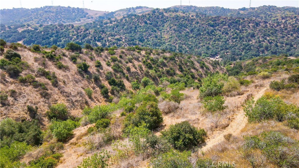 MLS #WS26181667 image #6