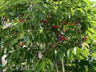 https://media.crmls.org/medias/7dae0f80-1863-400b-a50a-3c193b6b1724.jpg?preset=X-Large