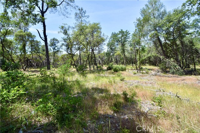 0 Mackey Court, Oroville CA: https://media.crmls.org/medias/7db004d3-e9d2-45cd-acab-b69cdfed0c9d.jpg